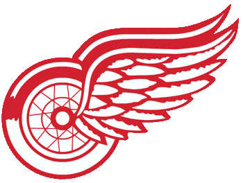 Detroit Red Wings 1973-1984 Alternate Logo t shirts DIY iron ons
